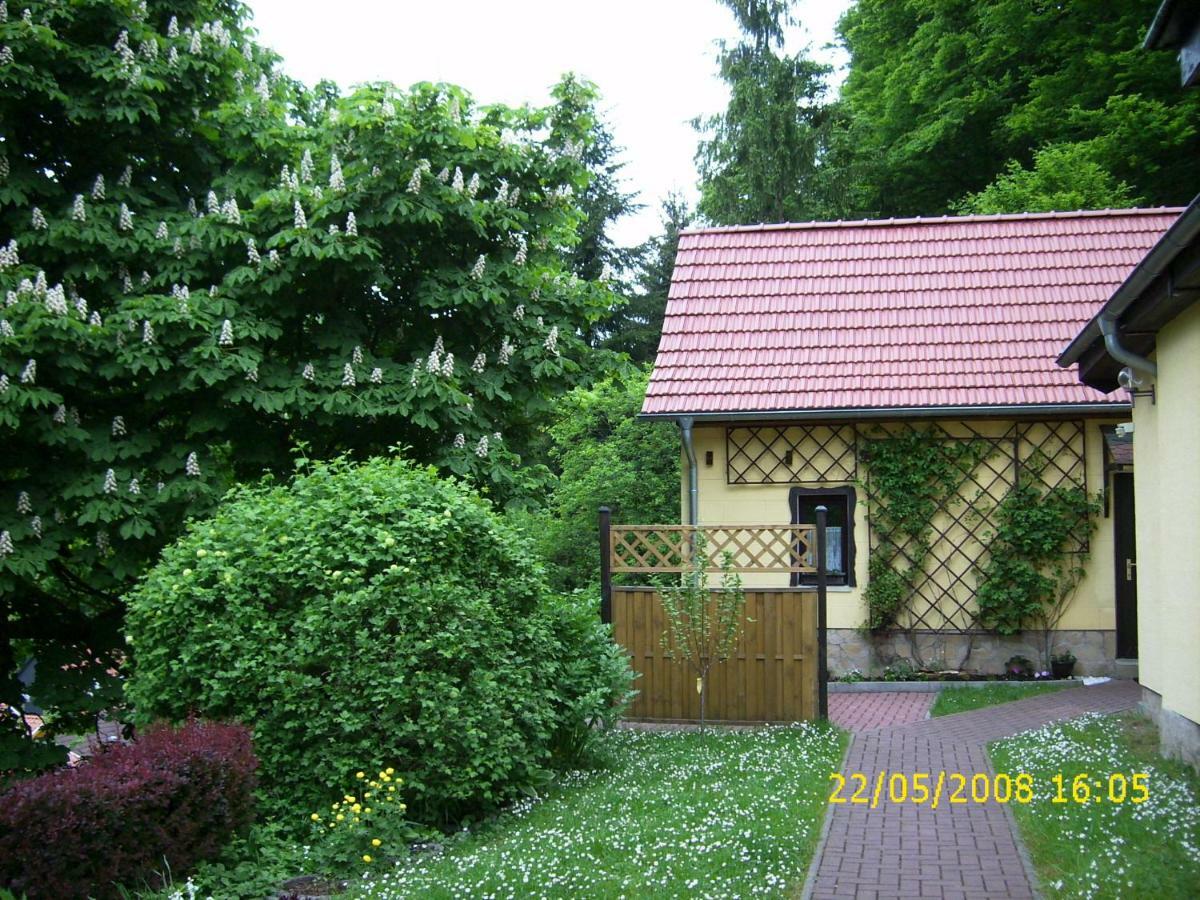 Birkenhain Villa Stolberg  Exterior photo